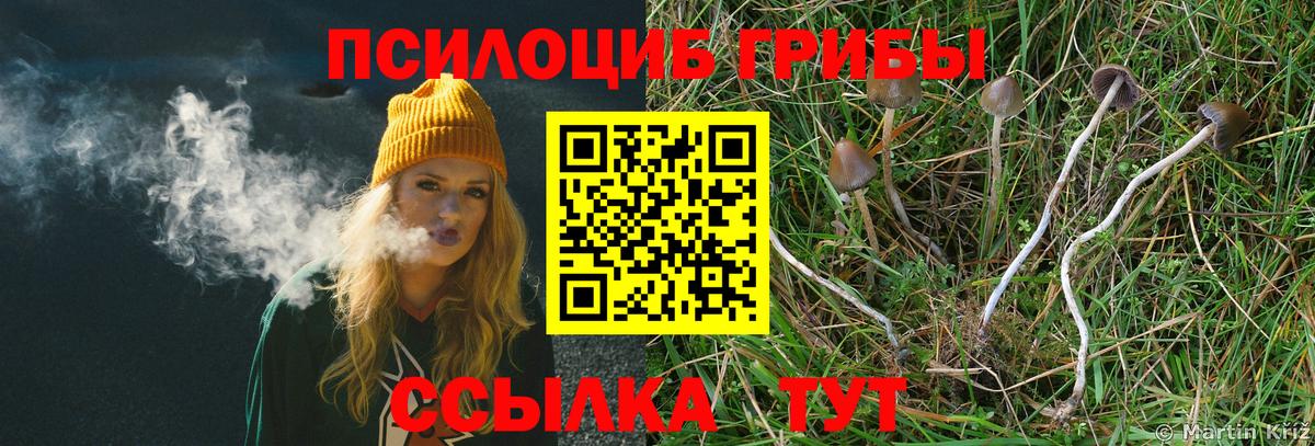 Галлюциногенные грибы мухоморы Родники