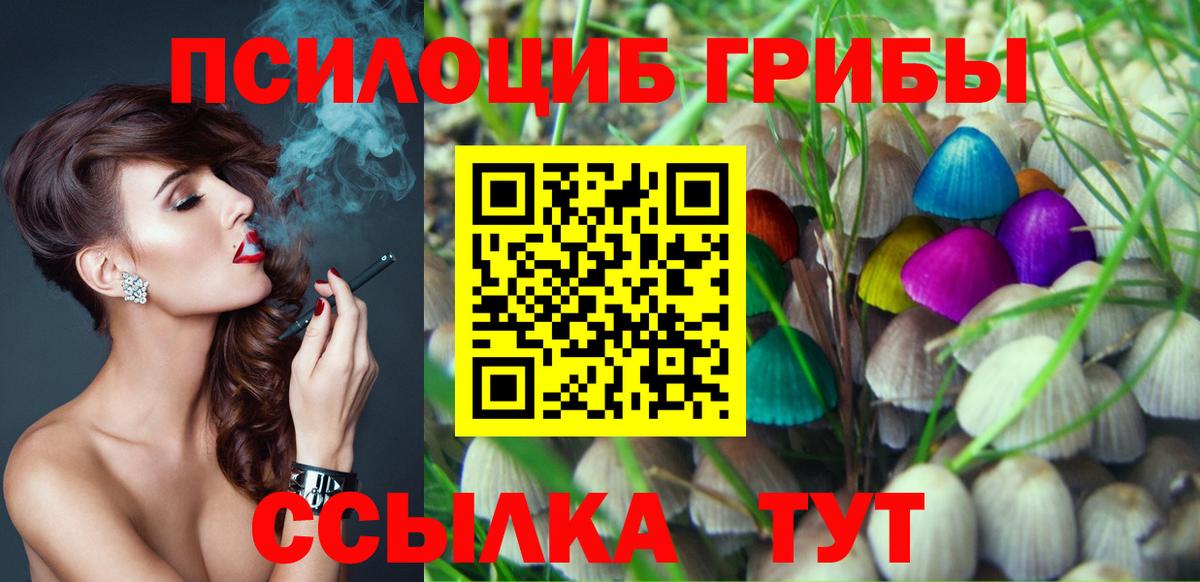 Родники  Галлюциногенные грибы Cubensis  Вход с VPN 